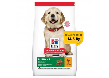 Hill's Science Plan Puppy Healthy Development Large Breed Pollo 14,5 Kg secco ex 12 kg OFFERTA € 3,80 / kg